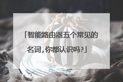 智能路由器五个常见的名词,你都认识吗?