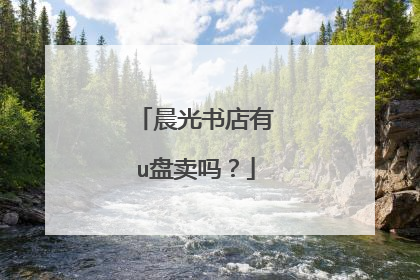 晨光书店有u盘卖吗？