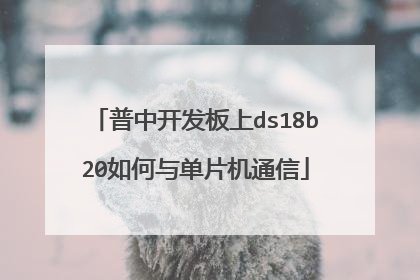 普中开发板上ds18b20如何与单片机通信
