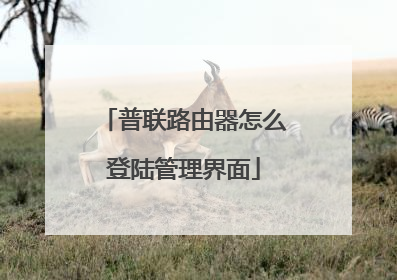 普联路由器怎么登陆管理界面