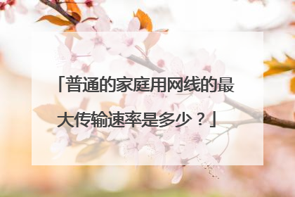 普通的家庭用网线的最大传输速率是多少？