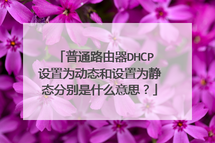 普通路由器DHCP设置为动态和设置为静态分别是什么意思?