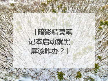 暗影精灵笔记本启动就黑屏该咋办?