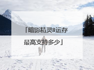 暗影精灵8运存最高支持多少