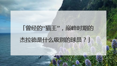 曾经的“猫王”，巅峰时期的杰拉德是什么级别的球员？