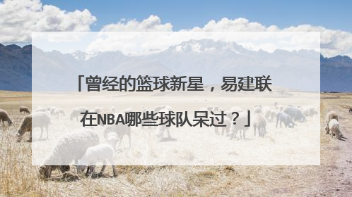 曾经的篮球新星，易建联在NBA哪些球队呆过？