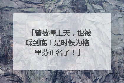 曾被捧上天，也被踩到底！是时候为格里芬正名了！