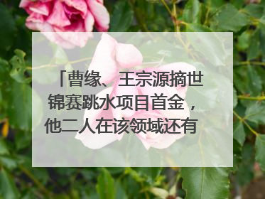 曹缘、王宗源摘世锦赛跳水项目首金，他二人在该领域还有哪些成就？