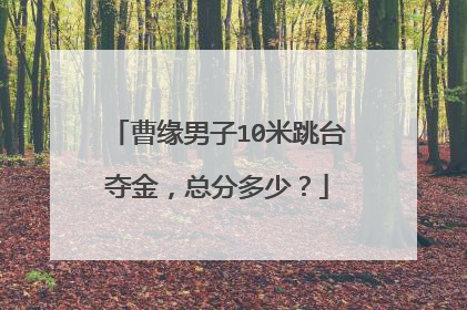 曹缘男子10米跳台夺金，总分多少？