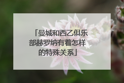 曼城和西乙俱乐部赫罗纳有着怎样的特殊关系
