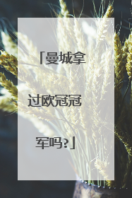 曼城拿过欧冠冠军吗?