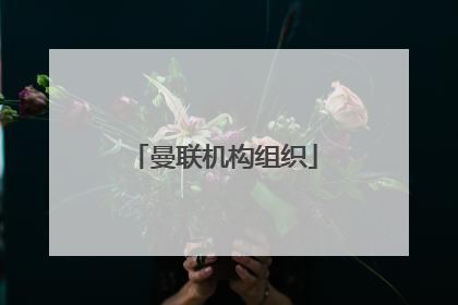 曼联机构组织