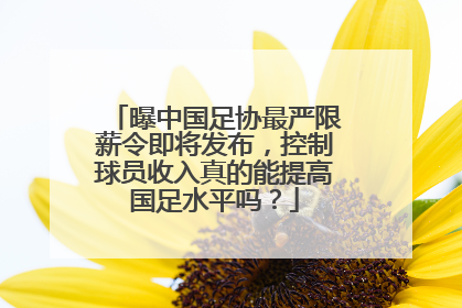 曝中国足协最严限薪令即将发布，控制球员收入真的能提高国足水平吗？