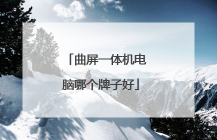 曲屏一体机电脑哪个牌子好