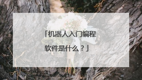 机器人入门编程软件是什么？