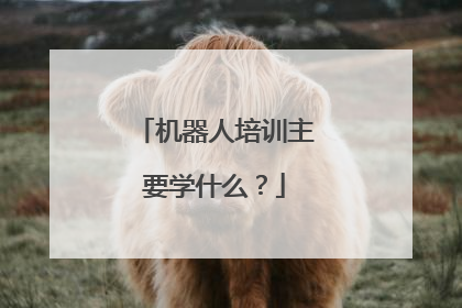 机器人培训主要学什么?