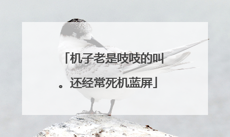 机子老是吱吱的叫。还经常死机蓝屏