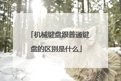 机械键盘跟普通键盘的区别是什么