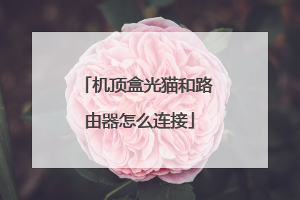 机顶盒光猫和路由器怎么连接
