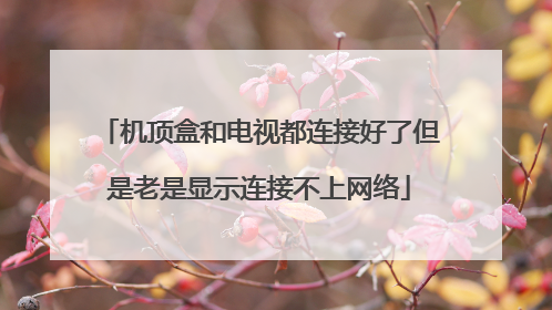 机顶盒和电视都连接好了但是老是显示连接不上网络