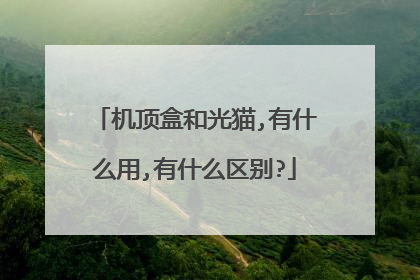 机顶盒和光猫,有什么用,有什么区别?