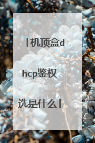 机顶盒dhcp鉴权选是什么
