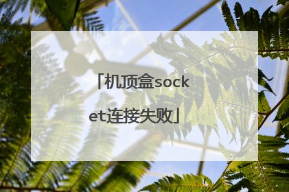 机顶盒socket连接失败