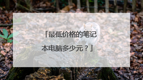 最低价格的笔记本电脑多少元?