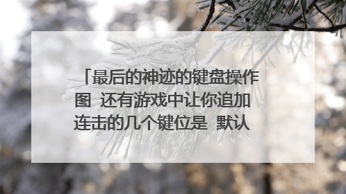 最后的神迹的键盘操作图 还有游戏中让你追加连击的几个键位是 默认键位的那几个键？
