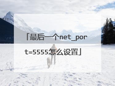 最后一个net_port=5555怎么设置