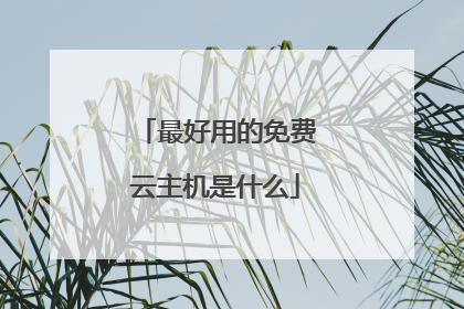 最好用的免费云主机是什么