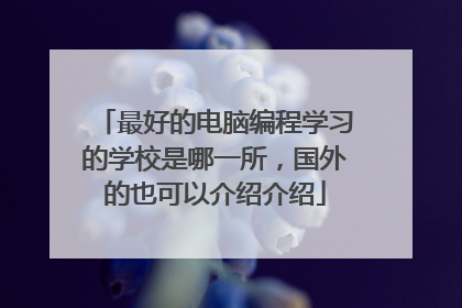 最好的电脑编程学习的学校是哪一所，国外的也可以介绍介绍