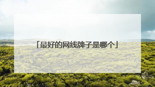 最好的网线牌子是哪个