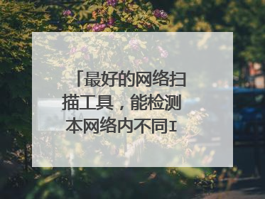 最好的网络扫描工具,能检测本网络内不同IP设备地址
