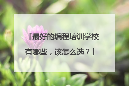 最好的编程培训学校有哪些，该怎么选？