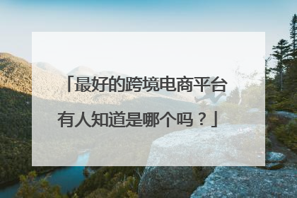 最好的跨境电商平台有人知道是哪个吗?