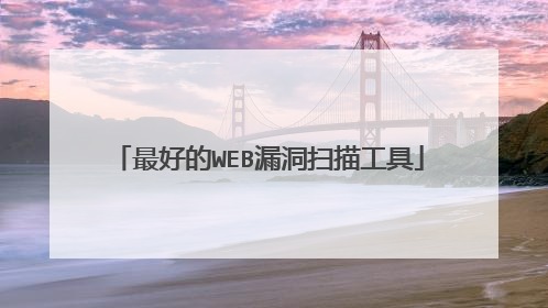 最好的WEB漏洞扫描工具