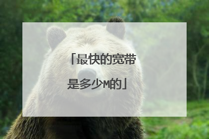 最快的宽带是多少M的
