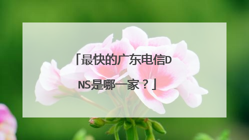 最快的广东电信DNS是哪一家?