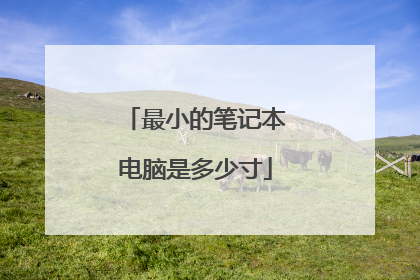 最小的笔记本电脑是多少寸