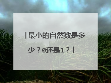最小的自然数是多少？0还是1？