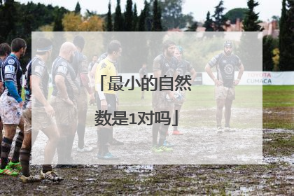 最小的自然数是1对吗