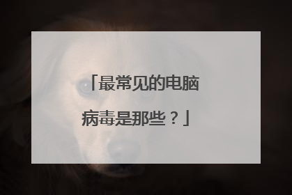 最常见的电脑病毒是那些?