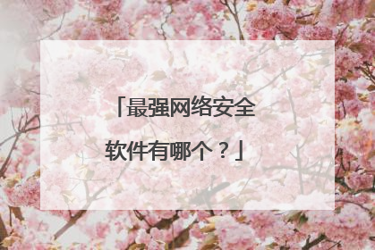 最强网络安全软件有哪个？