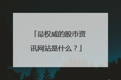 最权威的股市资讯网站是什么？