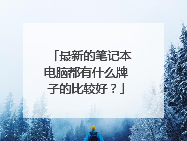 最新的笔记本电脑都有什么牌子的比较好?