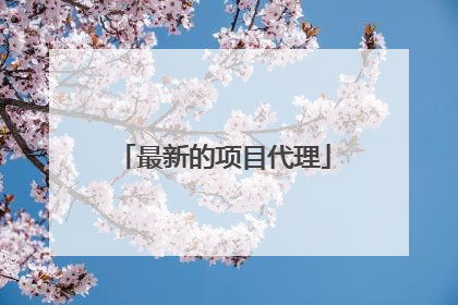 最新的项目代理