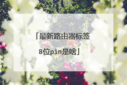 最新路由器标签8位pin是啥