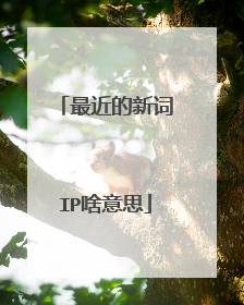 最近的新词IP啥意思