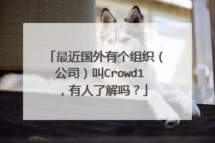 最近国外有个组织(公司)叫Crowd1,有人了解吗?